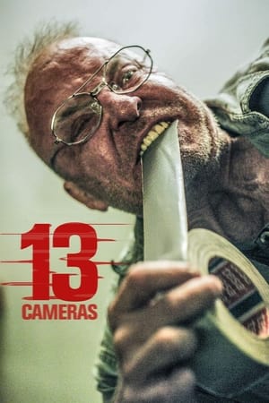 13 Cameras watch 13 Cameras