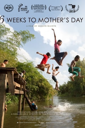 watch 6 Weeks to Mother's Day