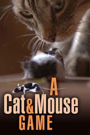 A Cat and Mouse Game watch A Cat and Mouse Game