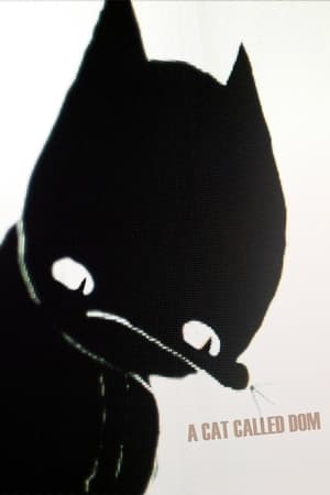 watch A Cat Called Dom