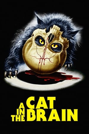 A Cat in the Brain watch A Cat in the Brain
