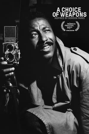 A Choice of Weapons: Inspired by Gordon Parks watch A Choice of Weapons: Inspired by Gordon Parks