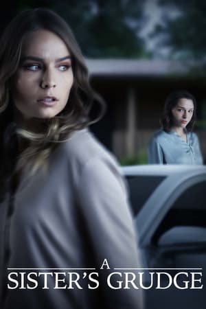 watch A Deadly Grudge
