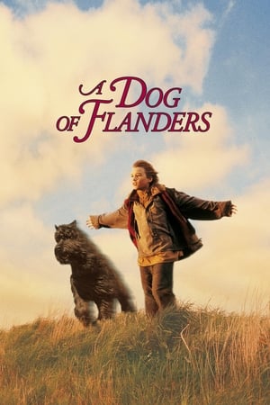 watch A Dog of Flanders