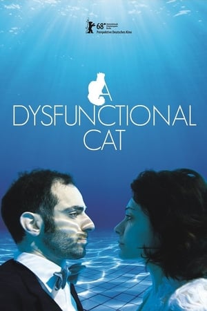 watch A Dysfunctional Cat