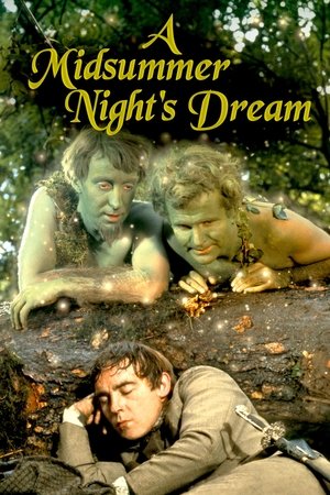 A Midsummer Night's Dream watch A Midsummer Night's Dream