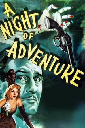 A Night of Adventure watch A Night of Adventure
