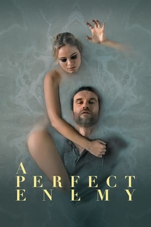 A Perfect Enemy watch A Perfect Enemy