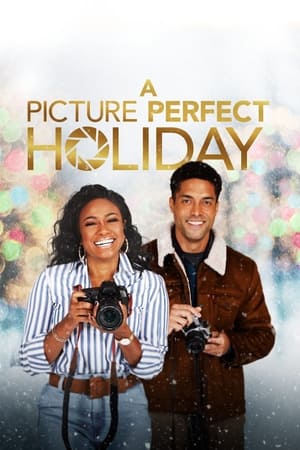 A Picture Perfect Holiday watch A Picture Perfect Holiday