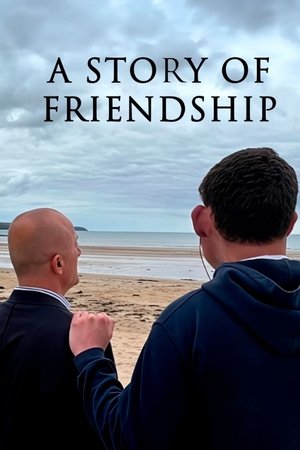 watch A Story of Friendship