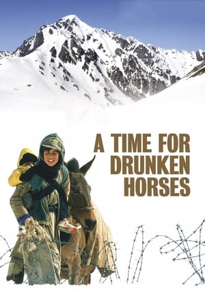 A Time for Drunken Horses watch A Time for Drunken Horses