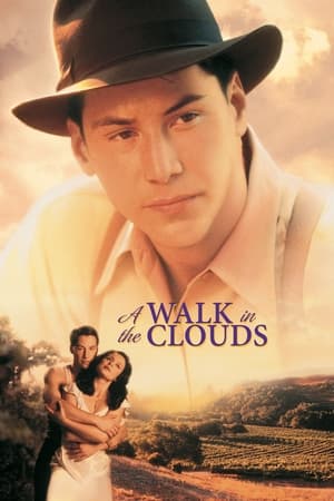 watch A Walk in the Clouds