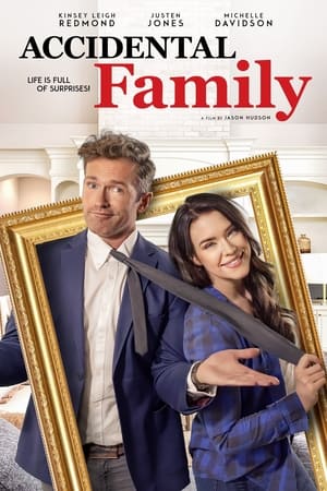 watch Accidental Family
