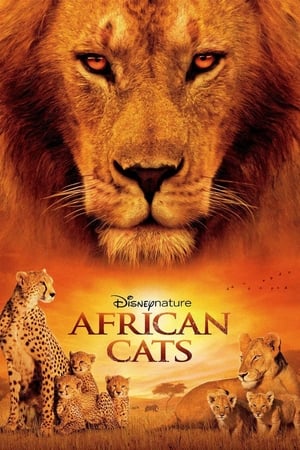African Cats watch African Cats