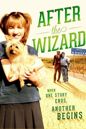 watch After the Wizard