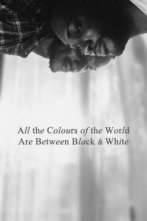 All the Colours of the World Are Between Black and White watch All the Colours of the World Are Between Black and White