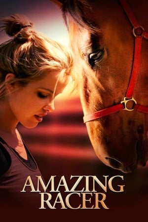watch Amazing Racer