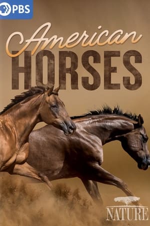 watch American Horses