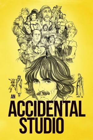 watch An Accidental Studio