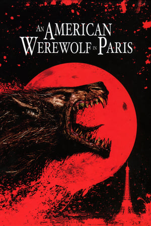 An American Werewolf in Paris watch An American Werewolf in Paris