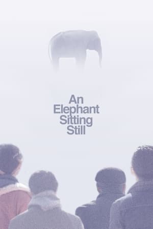 An Elephant Sitting Still watch An Elephant Sitting Still