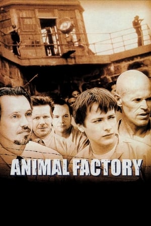 Animal Factory watch Animal Factory