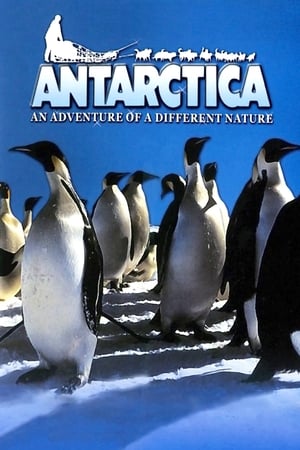 watch Antarctica: An Adventure of a Different Nature
