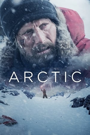 Arctic watch Arctic