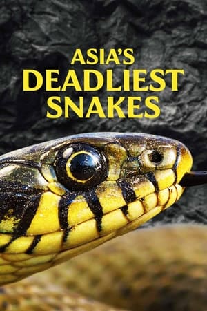 Asia's Deadliest Snakes watch Asia's Deadliest Snakes