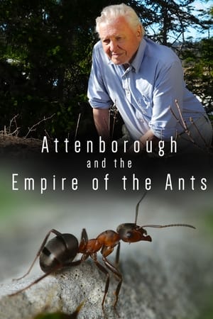 Attenborough and the Empire of the Ants watch Attenborough and the Empire of the Ants