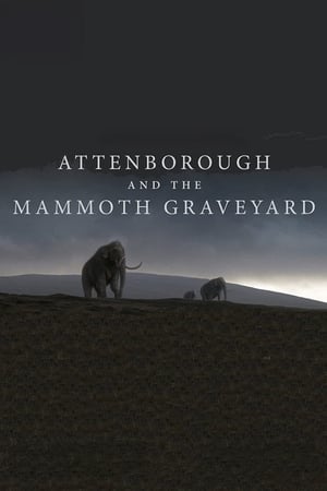 watch Attenborough and the Mammoth Graveyard