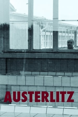 watch Austerlitz
