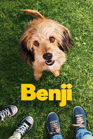 Benji watch Benji