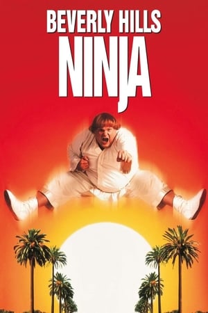 Beverly Hills Ninja watch Beverly Hills Ninja