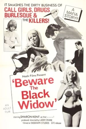 watch Beware the Black Widow
