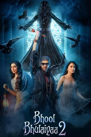 Bhool Bhulaiyaa 2 watch Bhool Bhulaiyaa 2