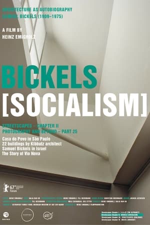 watch Bickels [Socialism]