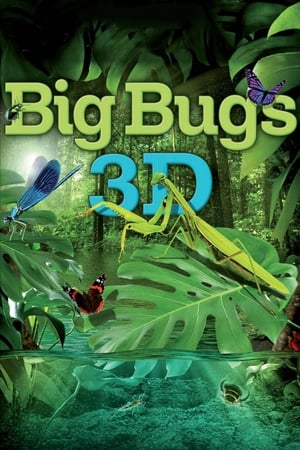 Big Bugs watch Big Bugs