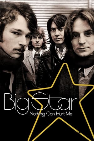 Big Star: Nothing Can Hurt Me watch Big Star: Nothing Can Hurt Me