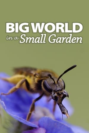 Big World In A Small Garden watch Big World In A Small Garden