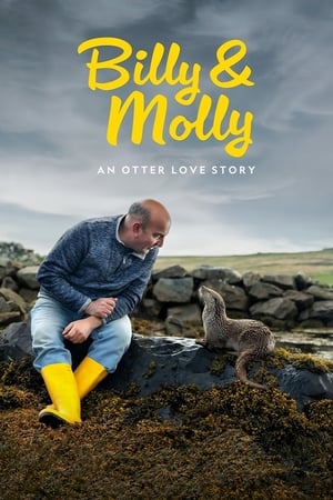 watch Billy & Molly: An Otter Love Story