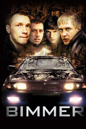 Bimmer watch Bimmer