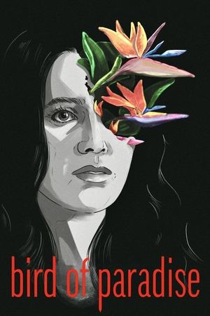 watch Bird of Paradise