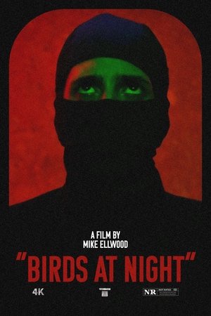 watch Birds at Night