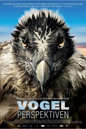 watch Bird's Eyeview