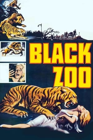 Black Zoo watch Black Zoo