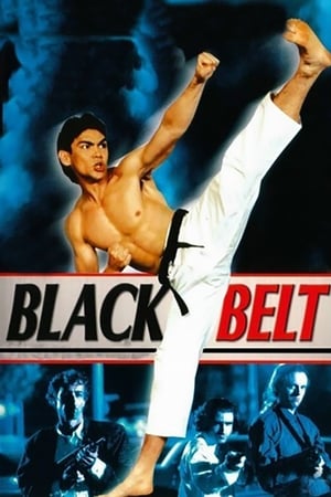 watch Blackbelt