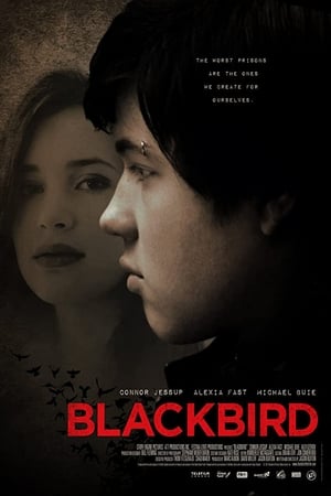 Blackbird watch Blackbird
