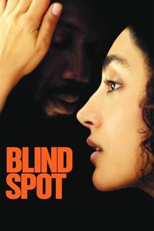 watch Blind Spot