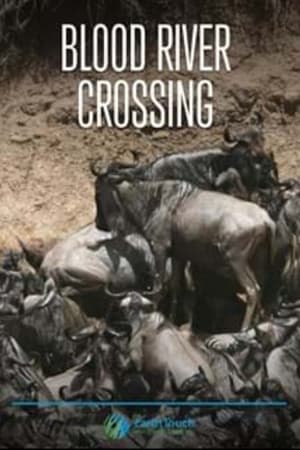 Blood River Crossing watch Blood River Crossing